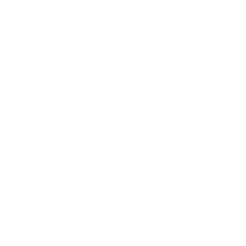 dg2n logo
