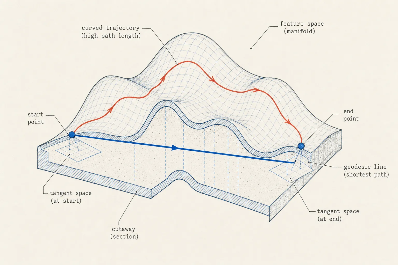 Cutaway diagram comparing curved latent trajectory with straight geodesic distance